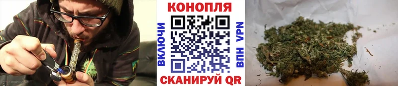 где купить наркоту  сайты даркнета состав  Бошки марихуана VHQ  Черемхово 
